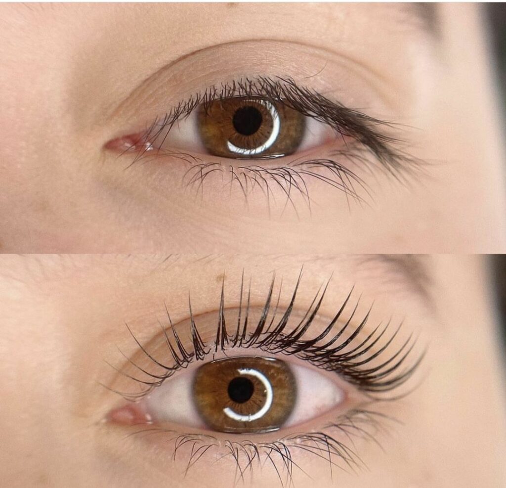 Classic Lash – Natural & Elegant
